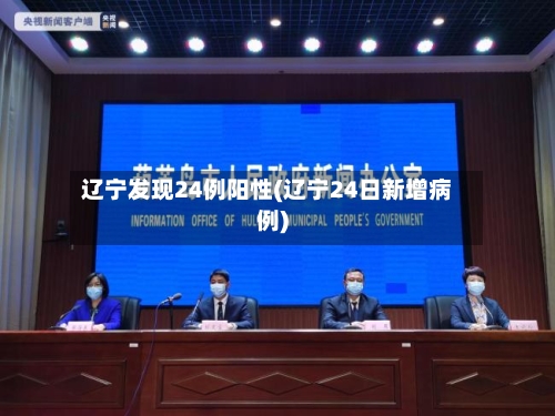 辽宁发现24例阳性(辽宁24日新增病例)