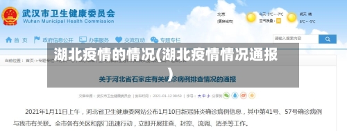 湖北疫情的情况(湖北疫情情况通报)