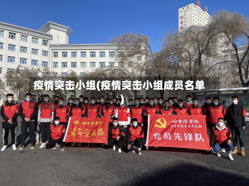 疫情突击小组(疫情突击小组成员名单)
