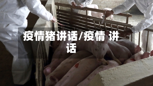 疫情猪讲话/疫情 讲话-第3张图片