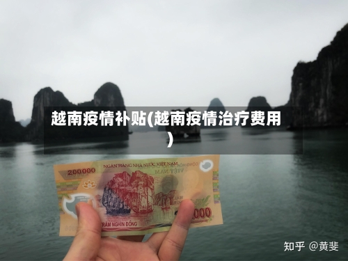 越南疫情补贴(越南疫情治疗费用)-第2张图片