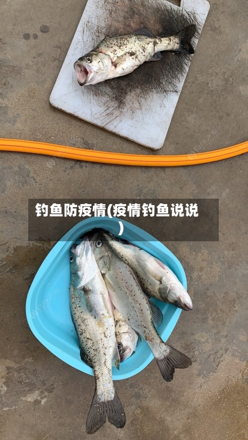 钓鱼防疫情(疫情钓鱼说说)-第3张图片