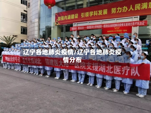 辽宁各地肺炎疫情/辽宁各地肺炎疫情分布