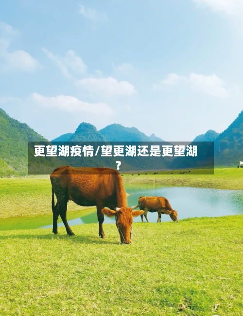 更望湖疫情/望更湖还是更望湖?
