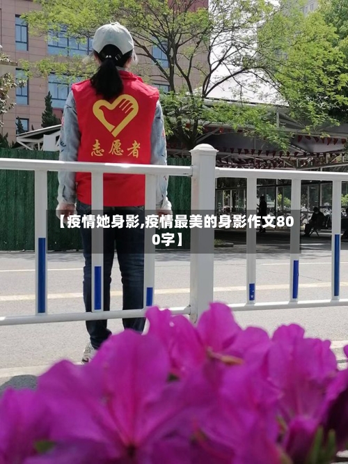 【疫情她身影,疫情最美的身影作文800字】