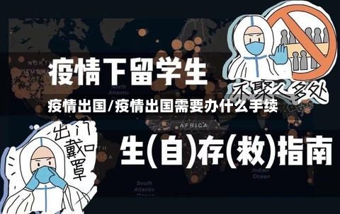 疫情出国/疫情出国需要办什么手续