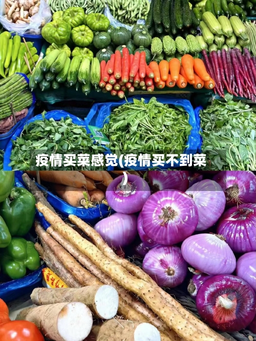 疫情买菜感觉(疫情买不到菜)
