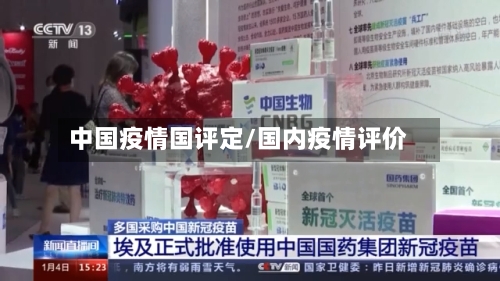 中国疫情国评定/国内疫情评价