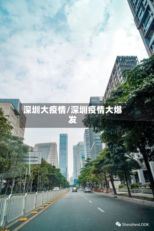 深圳大疫情/深圳疫情大爆发