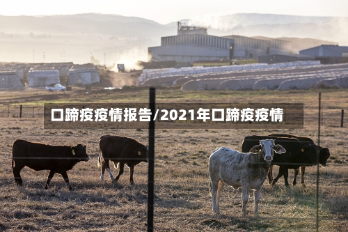 口蹄疫疫情报告/2021年口蹄疫疫情