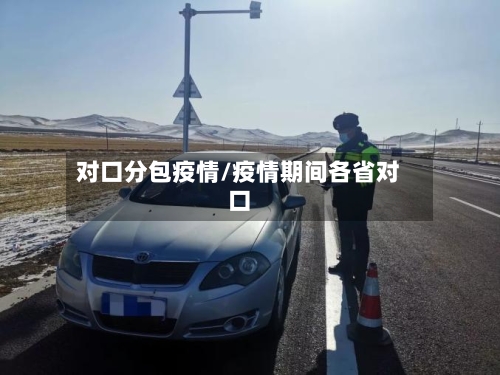 对口分包疫情/疫情期间各省对口