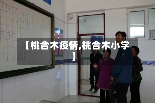 【桃合木疫情,桃合木小学】