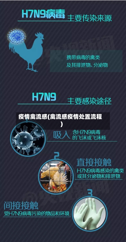 疫情禽流感(禽流感疫情处置流程)