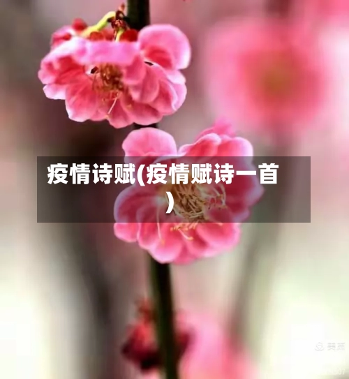 疫情诗赋(疫情赋诗一首)