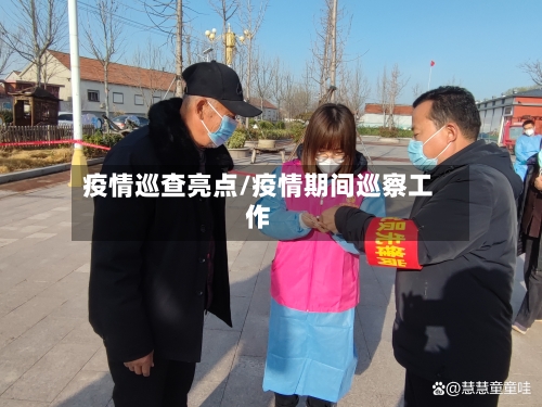 疫情巡查亮点/疫情期间巡察工作