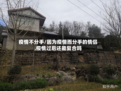 疫情不分手/因为疫情而分手的情侣,疫情过后还能复合吗