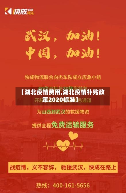 【湖北疫情费用,湖北疫情补贴政策2020标准】