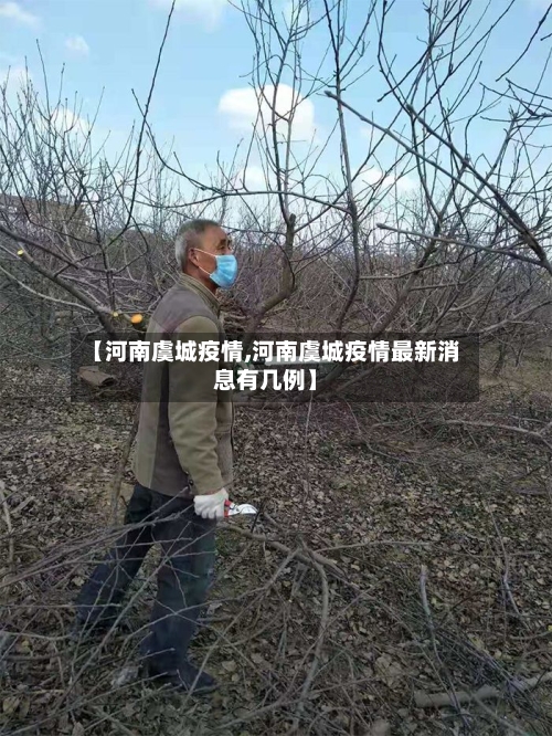 【河南虞城疫情,河南虞城疫情最新消息有几例】