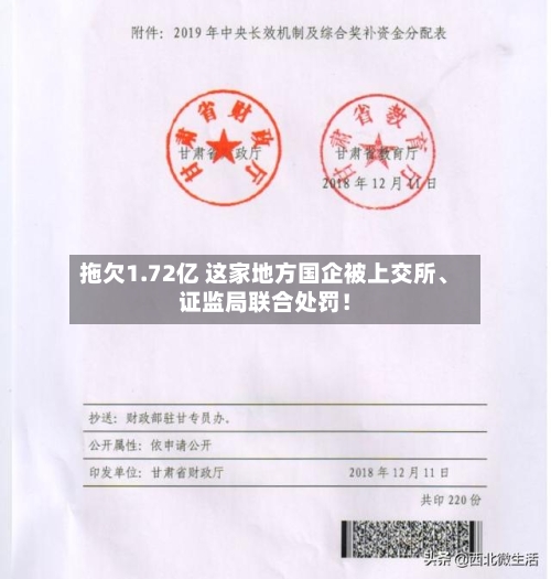 拖欠1.72亿 这家地方国企被上交所、证监局联合处罚！