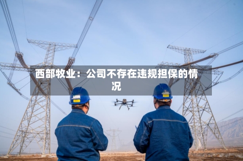 西部牧业：公司不存在违规担保的情况